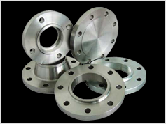 S.S. Flanges